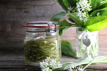 Eingelegte Bärlauchblüten als Kapern in Öl ©Franz Gleiß