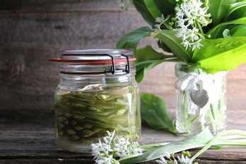 Eingelegte Bärlauchblüten als Kapern in Öl ©Franz Gleiß