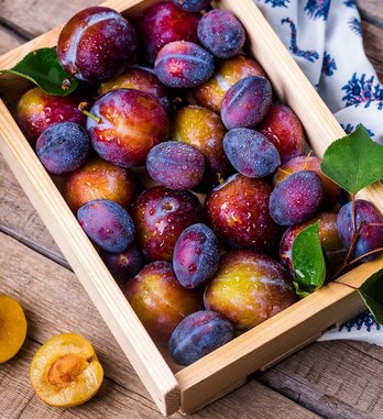 Zwetschken und Pflaumen ©pixabay