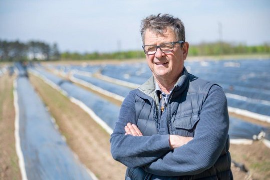Spargelbauer Markus Brandenstein am Spargelfeld im Marchfeld.