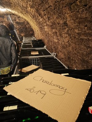 Weinkellerrundgang mit informativer Verkostung bei Afterwork am Bauernhof ©Teresa Neuhold/LK Niederösterreich