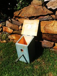 Nach der Reinigung mit Wasser muss der Nistkasten gründlich in der Sonne trocknen. ©Eva Kail/LK Niederösterreich