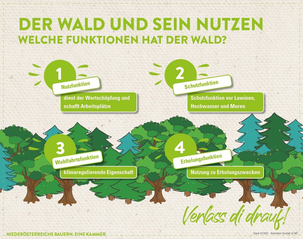 Infografik von Verlass di drauf der Landwirtschaftskammer Niederösterreich zum Wald und seinem Nutzen