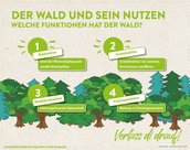 Infografik von Verlass di drauf der Landwirtschaftskammer Niederösterreich zum Wald und seinem Nutzen