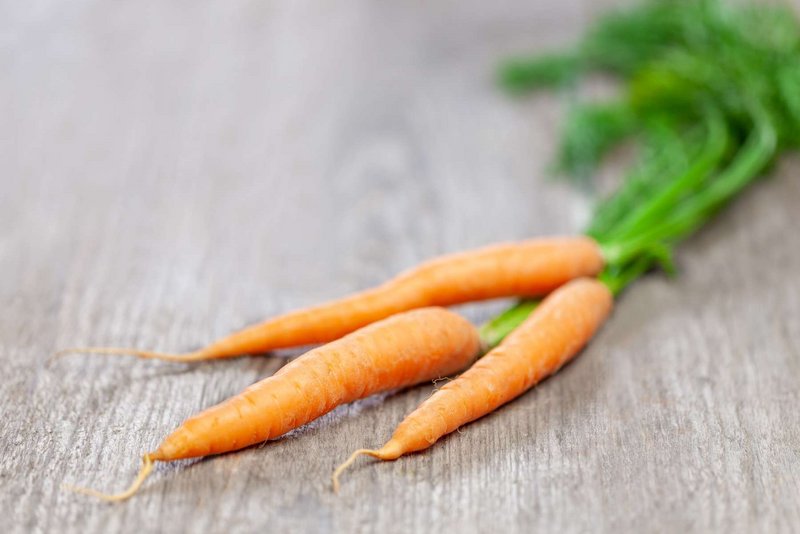 Karotte Landwirtschaft verstehen