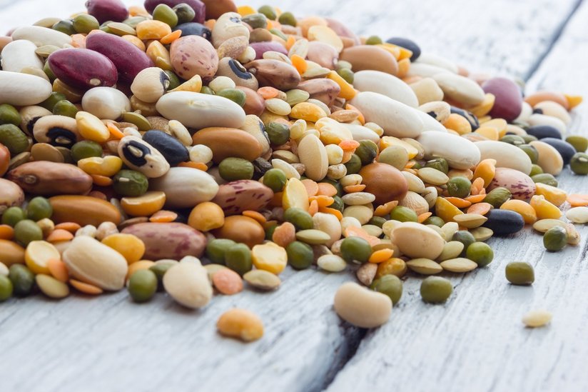 Hülsenfrüchte ©FPWing/stock.adobe.com