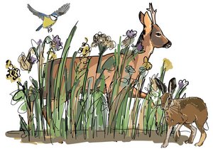 Illustration des Artenreichtums in der Tierwelt auf blühender Wiese