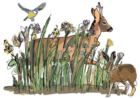 Illustration des Artenreichtums in der Tierwelt auf blühender Wiese