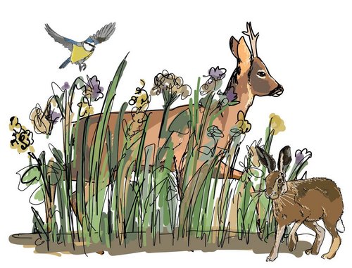 Illustration des Artenreichtums in der Tierwelt auf blühender Wiese