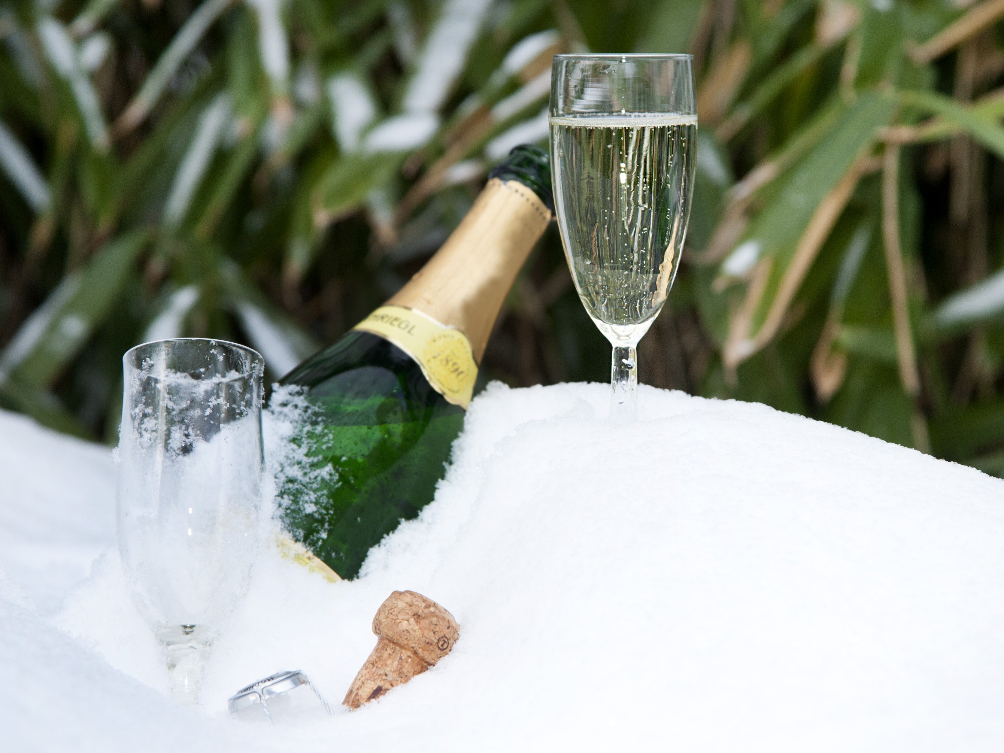 Sekt mit Sektglas in Eis gekühlt