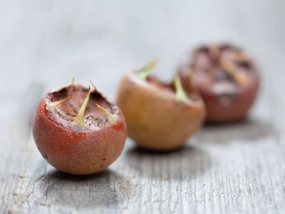 Drei Mispel liegen auf einem Holztisch