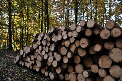 Sägeindustrie ©Fotoarchiv Forst/LK Niederösterreich