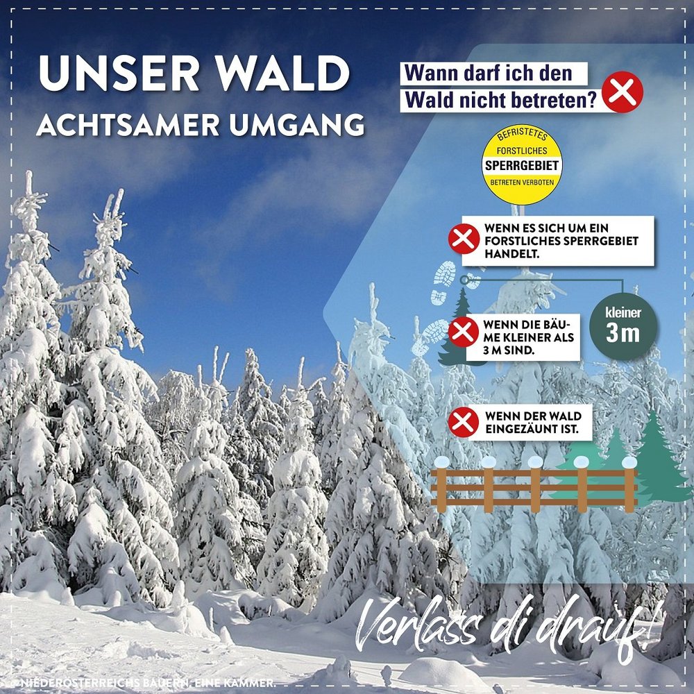 Wald Sperrgebiet.jpg