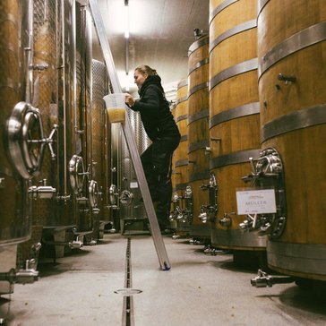 Weinkönigin Diana Müller bei der Arbeit im Weinkeller