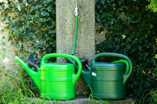 Gießkannen©pixabay