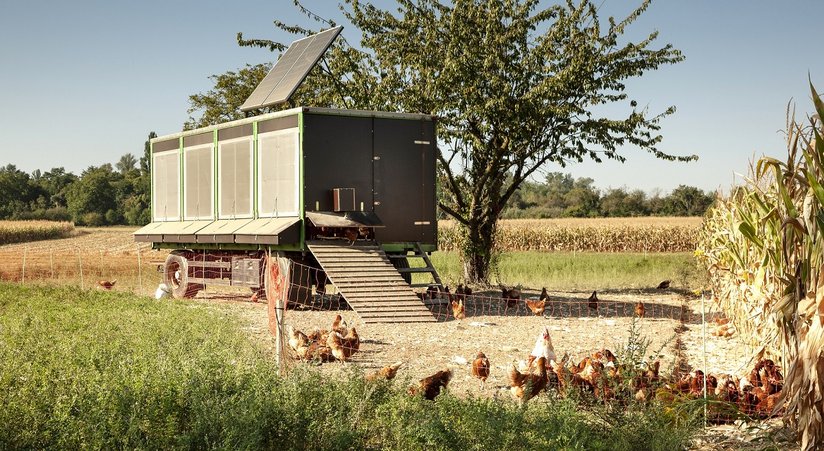 Mobiler Hühnerstall ©Barbara Buderath/stock.adobe.com