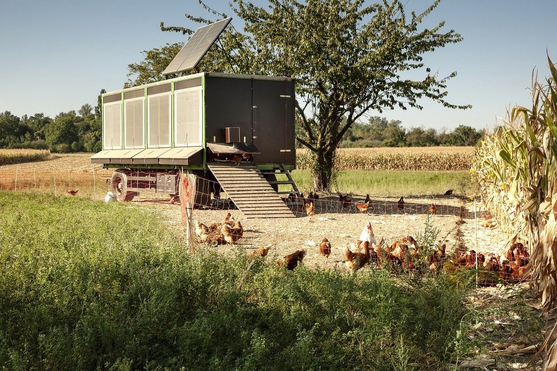 Mobiler Hühnerstall ©Barbara Buderath/stock.adobe.com