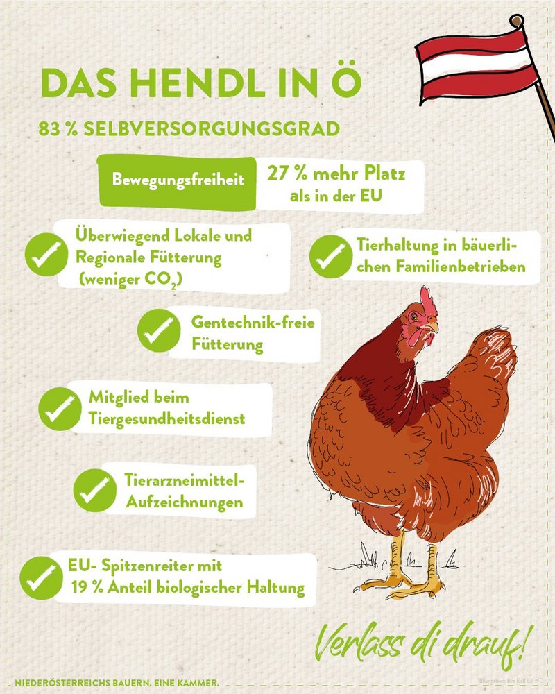 Infografik von Verlass di drauf der Landwirtschaftskammer Niederösterreich zur Hühnern in Österreich