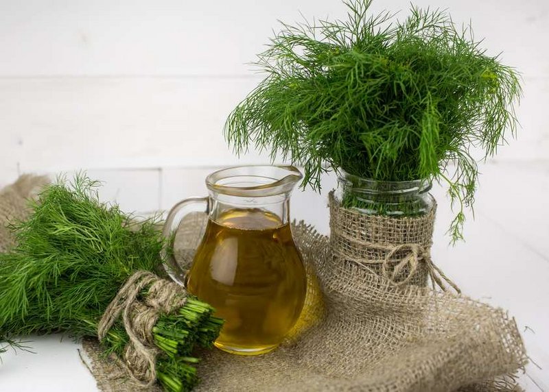 Dille Landwirtschaft verstehen