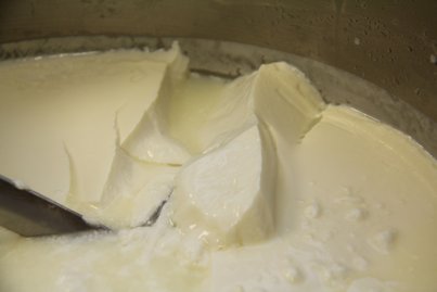 Frischkäse Herstellung ©Elisabeth Heidegger/LK Niederösterreich