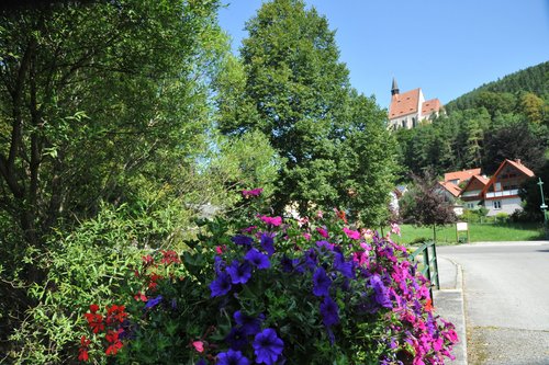 Foto von Blumen in Gemeinde Kirchberg am Wechsel 2018 für Blühendes Niederösterreich ©Gartenbau/LK Niederösterreich