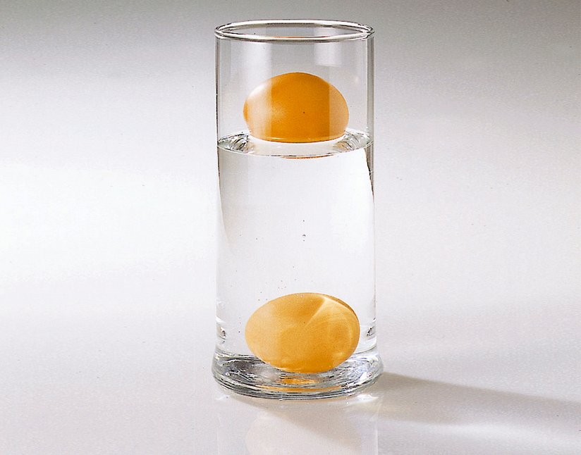 Beim Frischetest kann festgestellt werden, ob das Ei noch genießbar ist. ©AMA Marketing