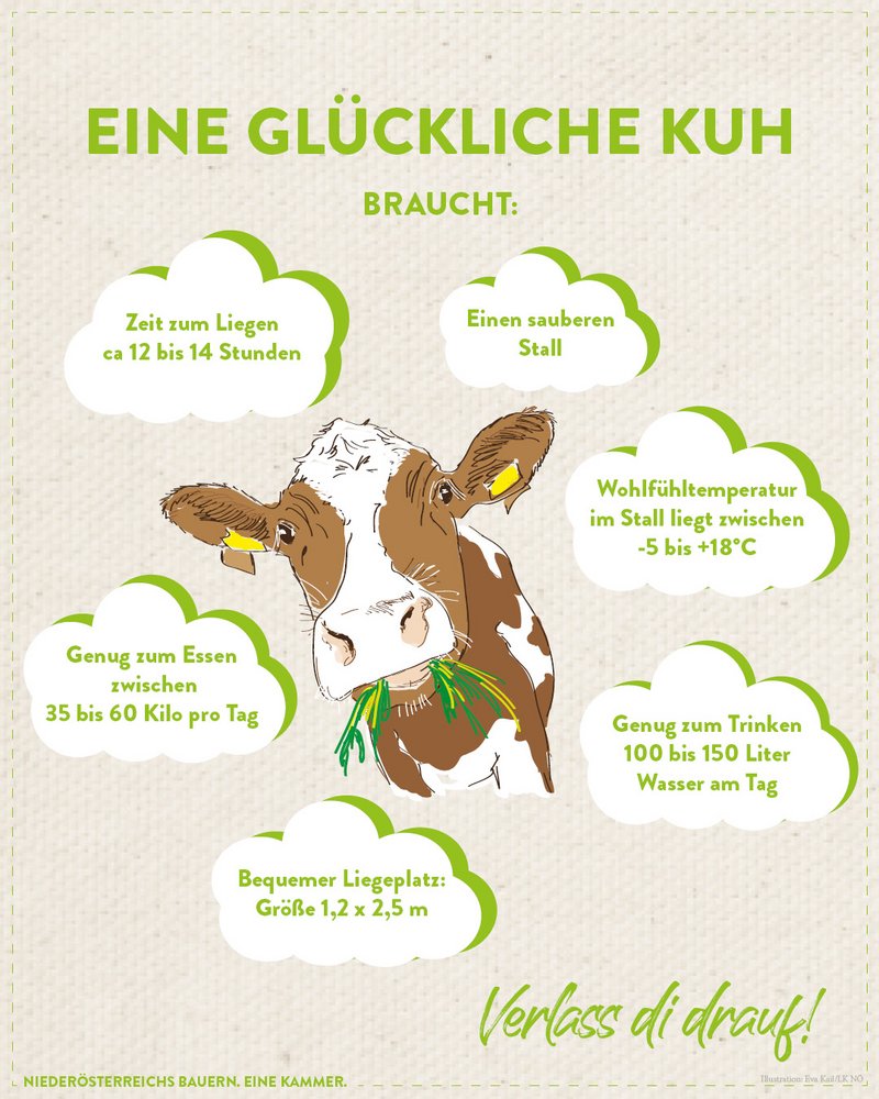 Infografik von Verlass di drauf der Landwirtschaftskammer Niederösterreich zm Kuhwohl
