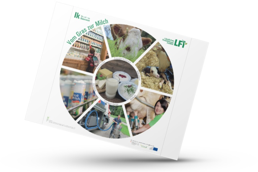 Mockup von dem Plakat mit rundem Kreis, wo die Schritte vom Gras zur Milch abgebildet sind.