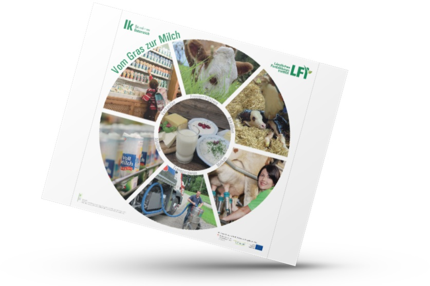 Mockup von dem Plakat mit rundem Kreis, wo die Schritte vom Gras zur Milch abgebildet sind.