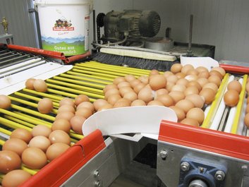 Eisortierung ©Paula Pöchlauer-Kozel/LK Niederösterreich