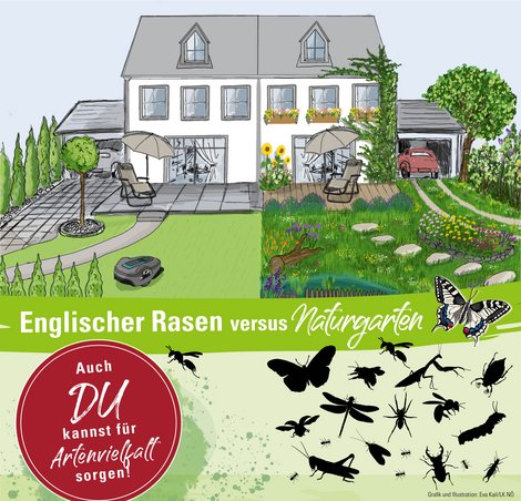 Englischer Rasen vs. Naturgarten