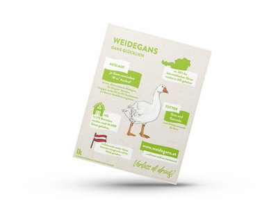 Infografik von Verlass di drauf der Landwirtschaftskammer Niederösterreich zur Weidegans aus Österreich