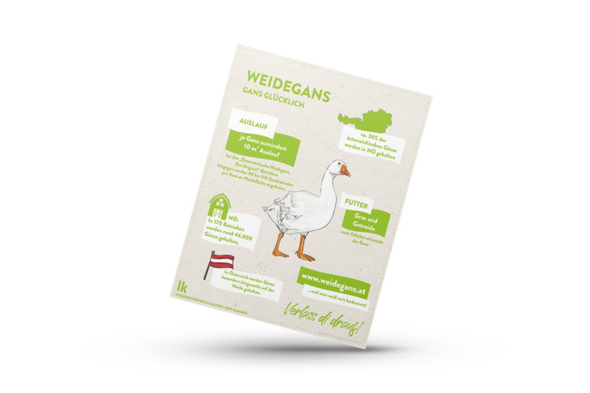 Infografik von Verlass di drauf der Landwirtschaftskammer Niederösterreich zur Weidegans aus Österreich