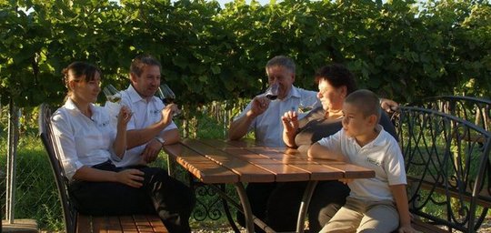 Weingut Öhlzelt GesbR Titelbild