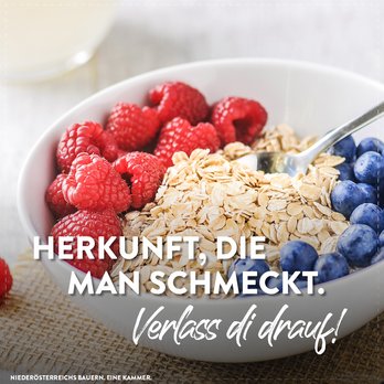 Himbeeren und Heidelbeeren mit Haferflocken in einer Schüssel 