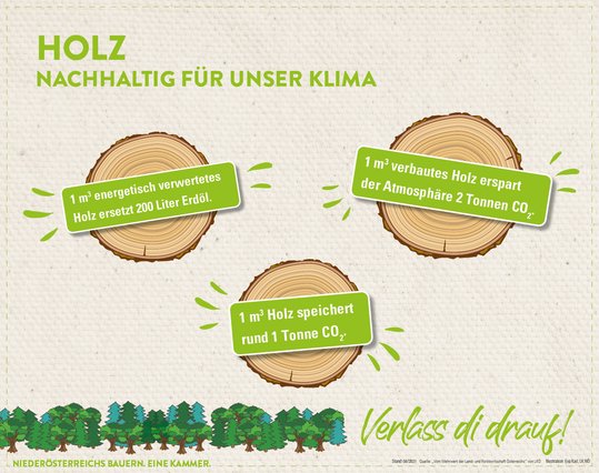 Infografik von Verlass di drauf der Landwirtschaftskammer Niederösterreich zu Holz ist nachhaltig für unser Klima