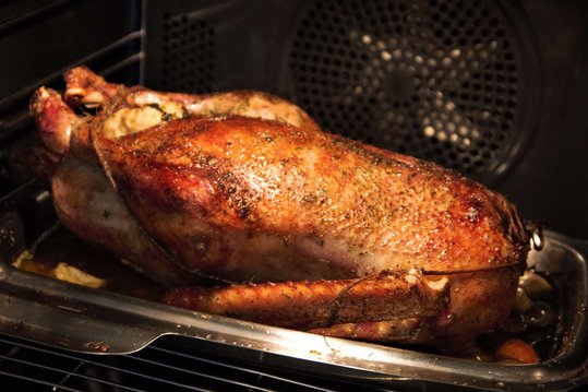 Gans im Rohr ©Elisabeth Heidegger/LK Niederösterreich