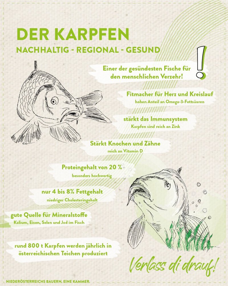Infografik von Verlass di drauf der Landwirtschaftskammer Niederösterreich zum Karpfen