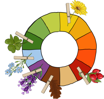 Farbenrad mit Naturmaterialien ©Eva Kail