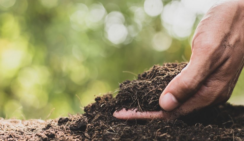 Humus ©Haris Gunawan/stock.adobe.com