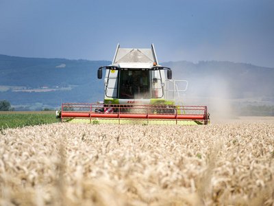 Mähdrescher erntet ein reifes Feld Getreide