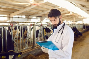 Farmer or veterinarian making notes during checking cows in stal