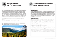 Baumarten in Österreich - Allgemein