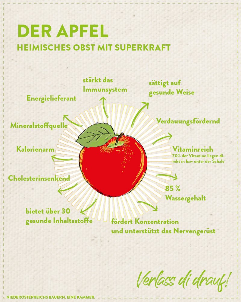 Infografik von Verlass di drauf der Landwirtschaftskammer Niederösterreich zu Apfel als heimisches Superfood
