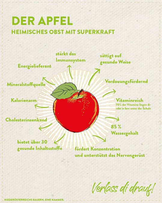 Infografik von Verlass di drauf der Landwirtschaftskammer Niederösterreich zu Apfel als heimisches Superfood