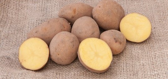 Kartoffelladen Hellmer Titelbild