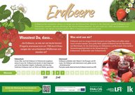 Erdbeer-Fakten mit Grafik auf Infotafel zum Download über Österreich