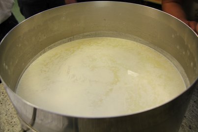 Frischkäse Herstellung ©Elisabeth Heidegger/LK Niederösterreich