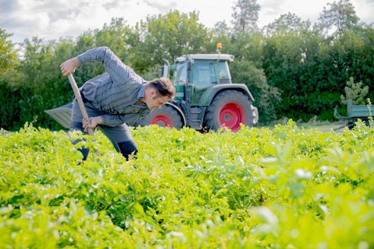 Bauer gräbt Kartoffeln für die Qualitätskontrolle aus, Traktor steht dabei im Hintergrund.