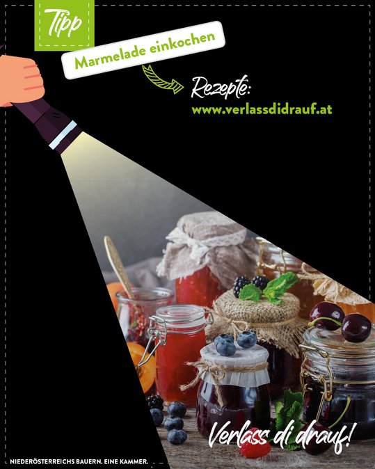 Taschenlampe beleuchtet Marmeladengläser - entweder selbstgemacht oder vom Bauern gekauft.